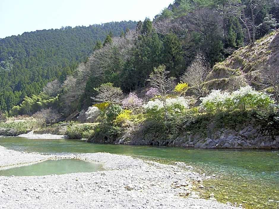 Ashita No Mori