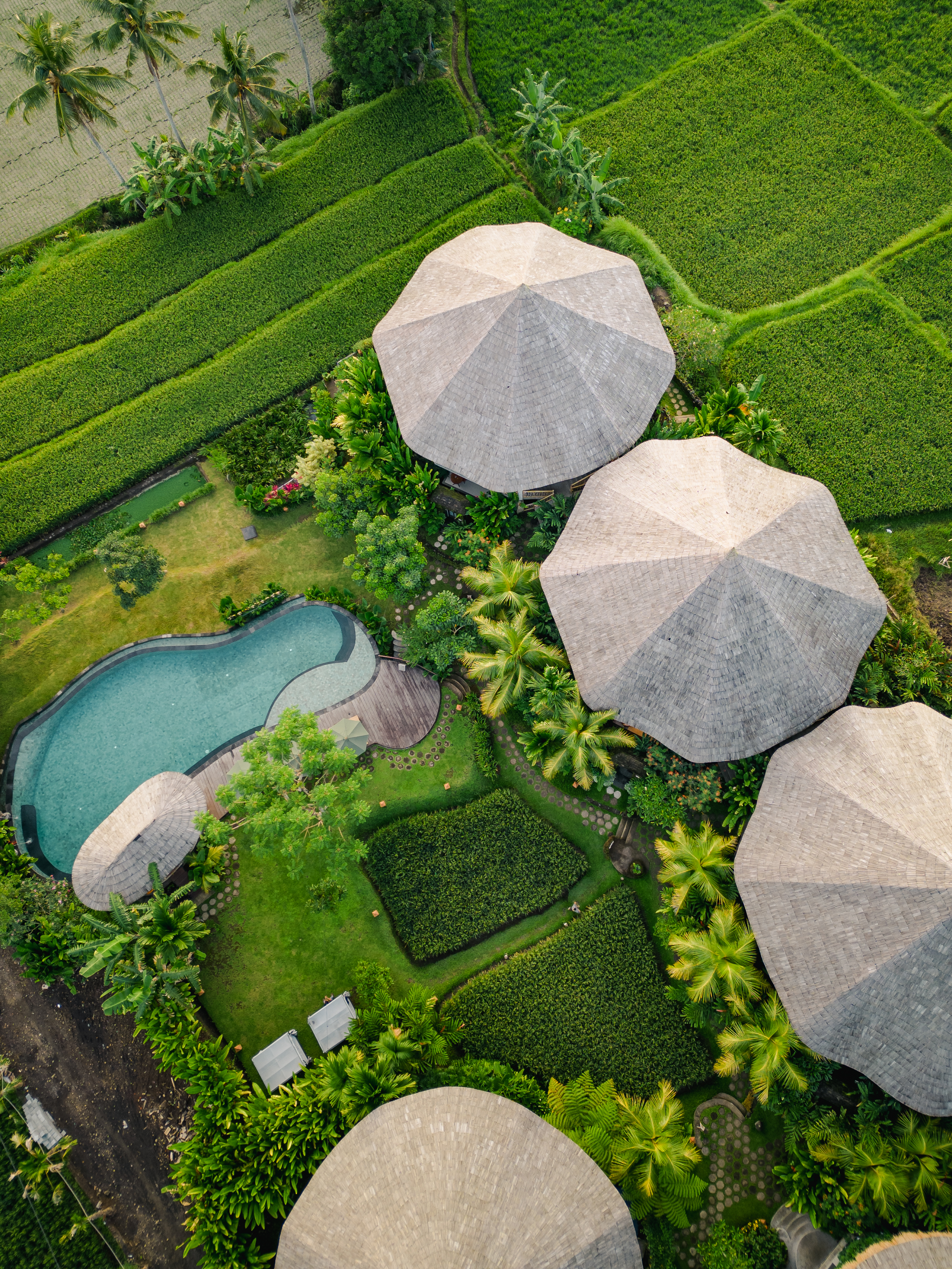 TheWakanda Resort A Pramana Experience - photo