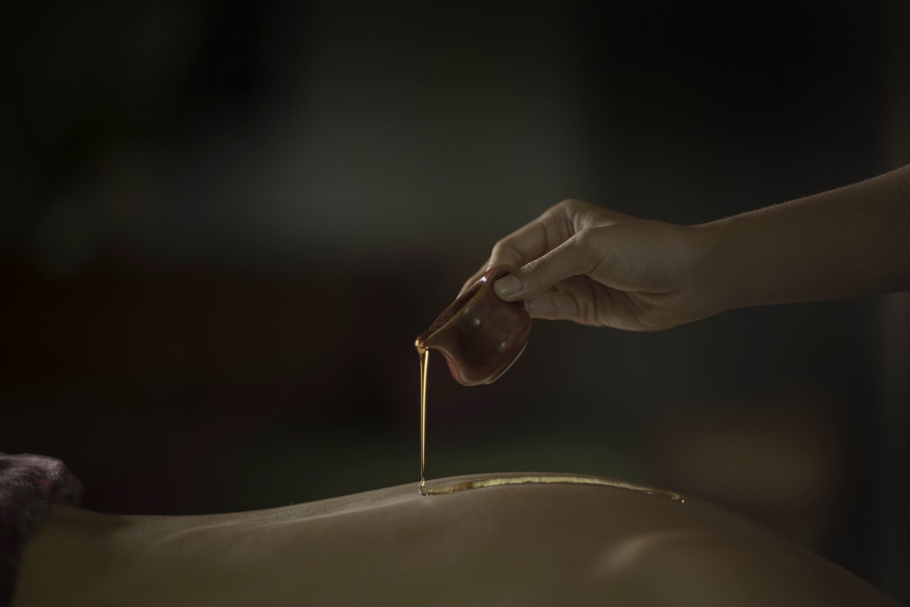 TheWakanda Resort A Pramana Experience - photo