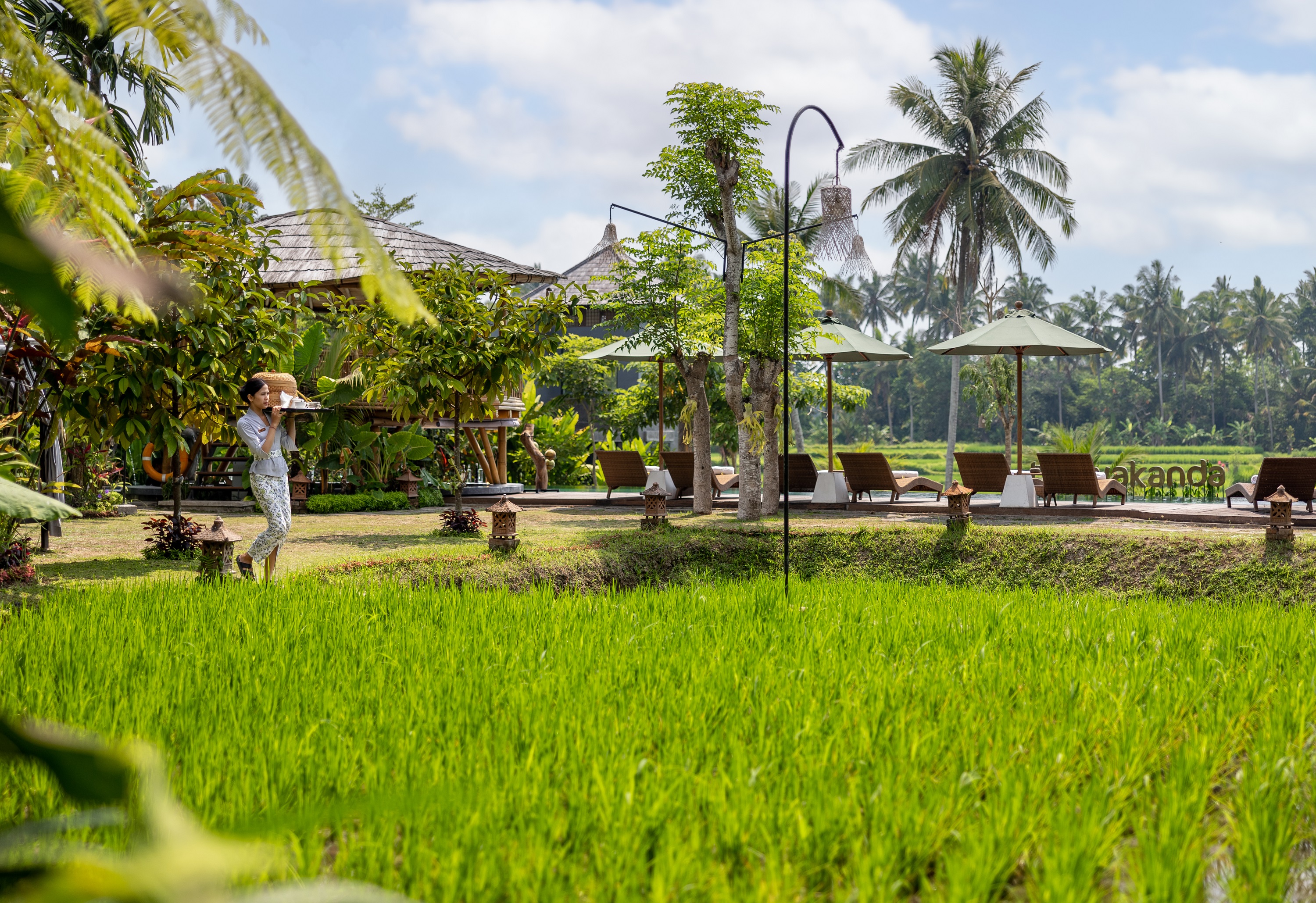 TheWakanda Resort A Pramana Experience - photo