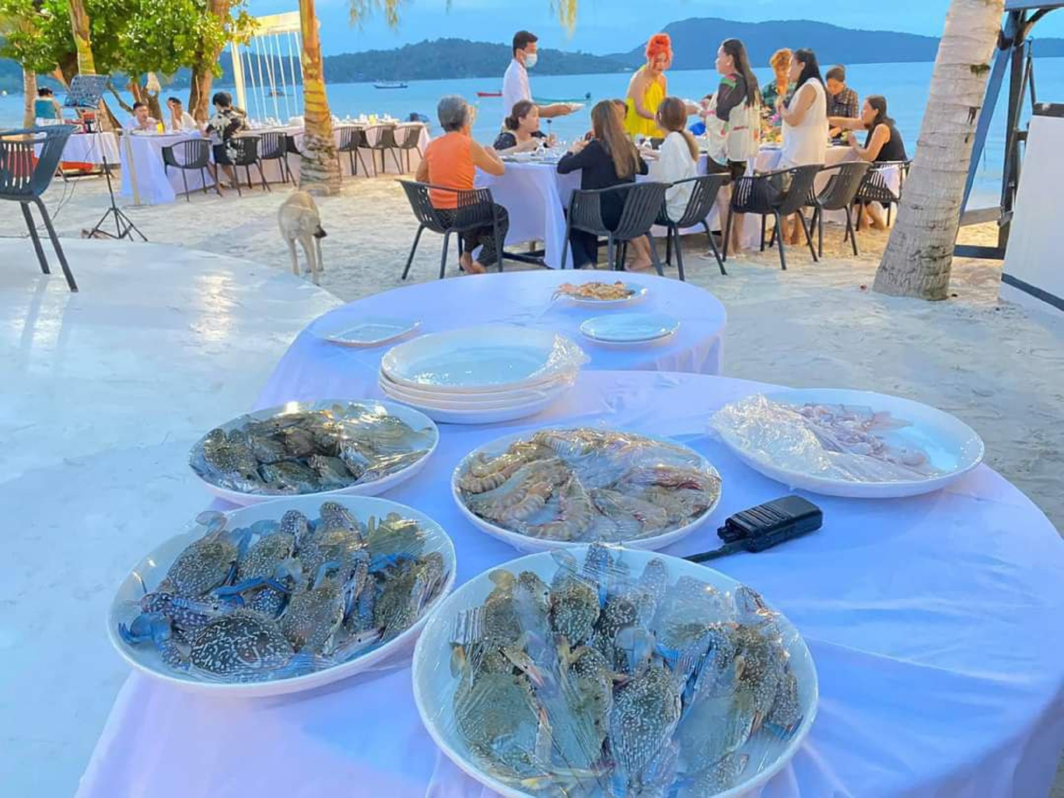 Moonlight Resort by null