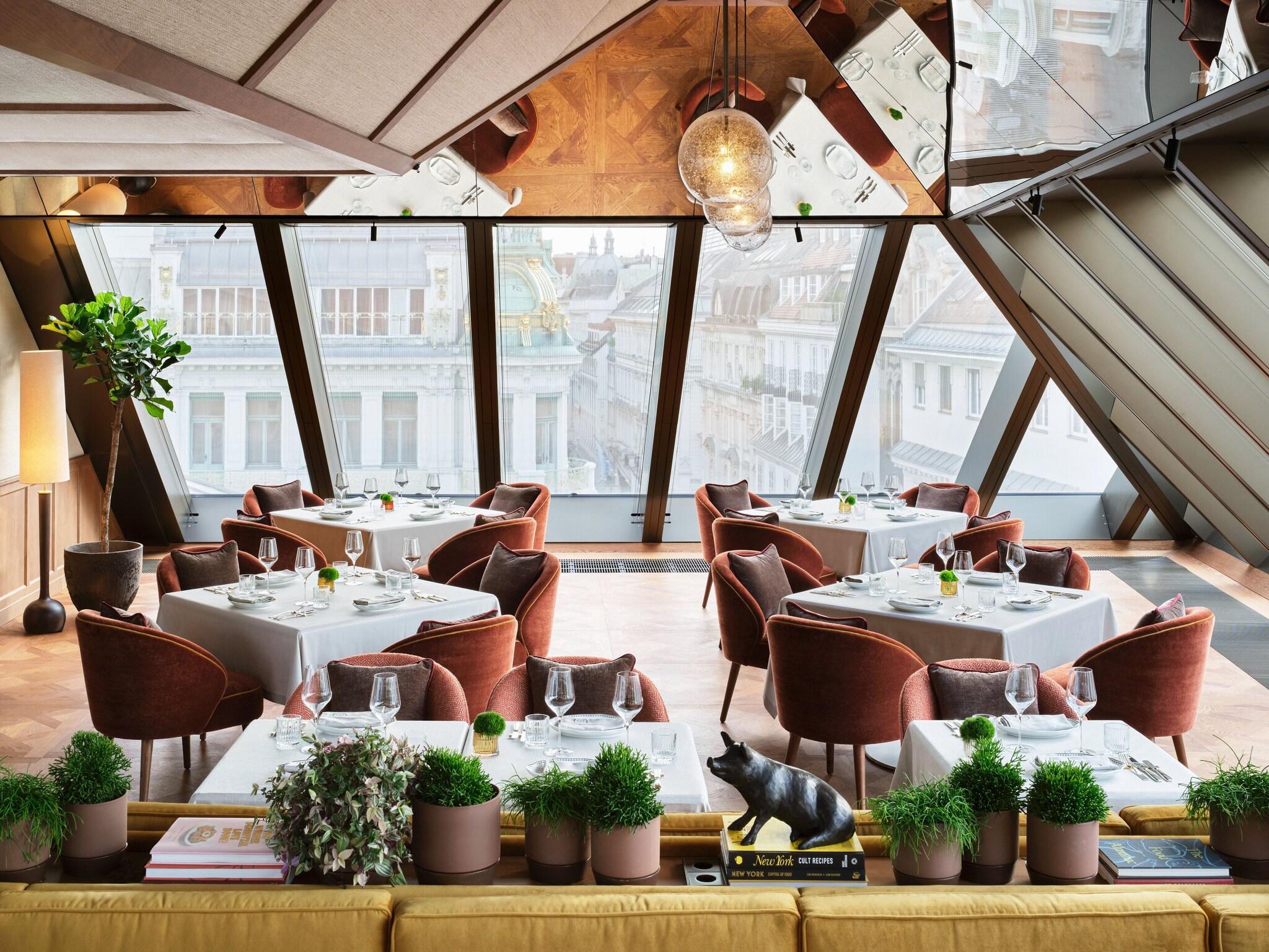 Rosewood Vienna by null