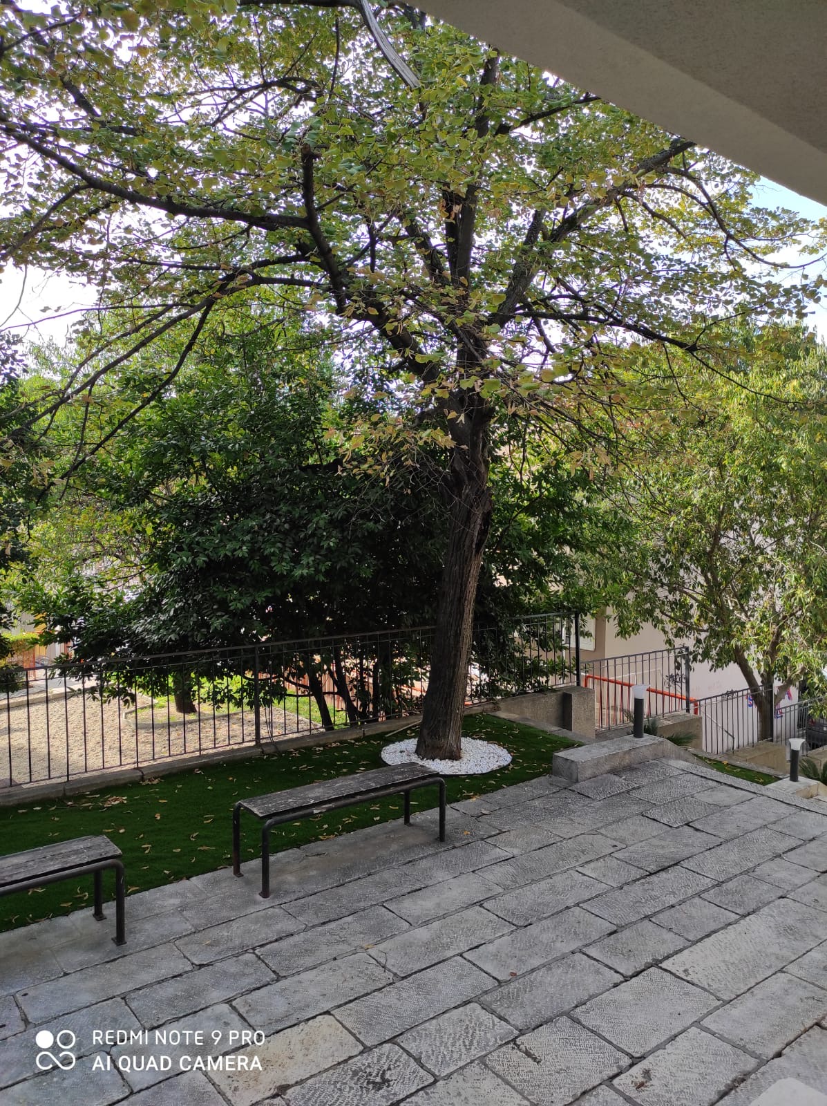 Bosket Luxury rooms - Poză