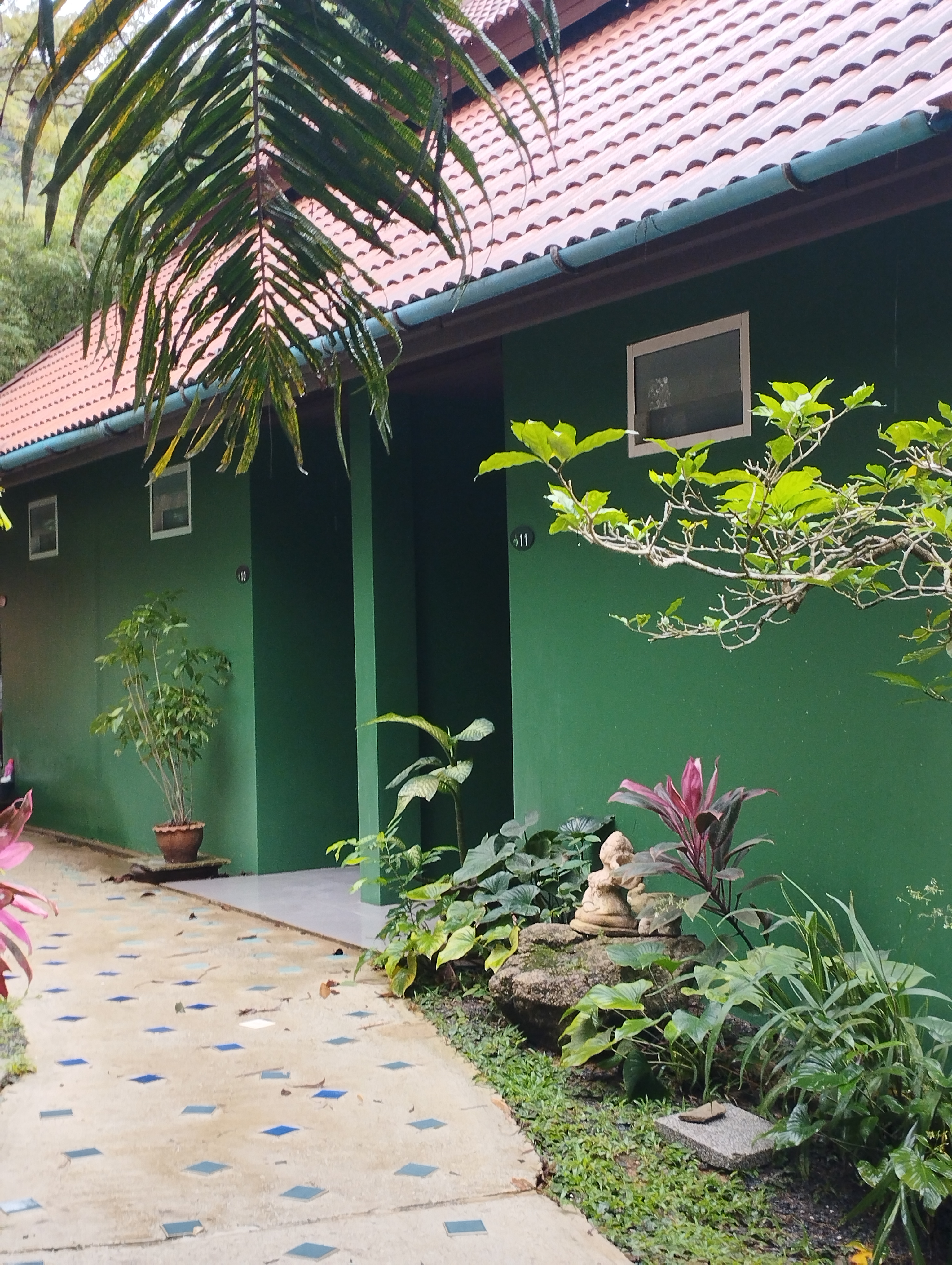 Phuket Jungle Experience Resort - photo