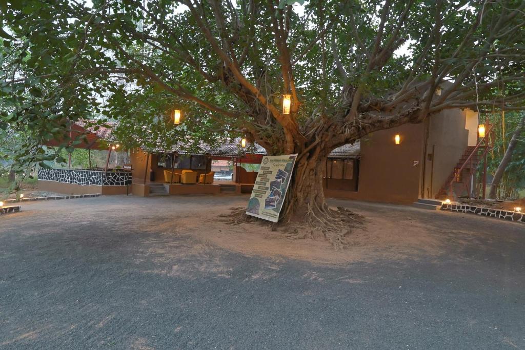 Maati Jungle Lodge Bandhavgarh
