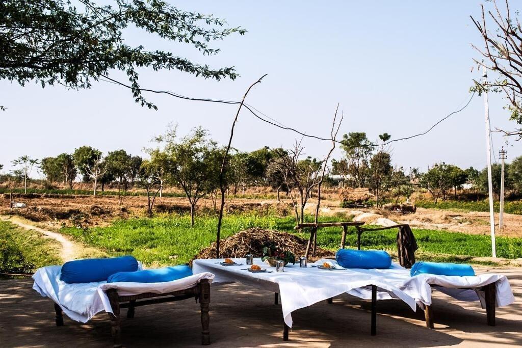 Brij Lakshman Sagar, Pali by null