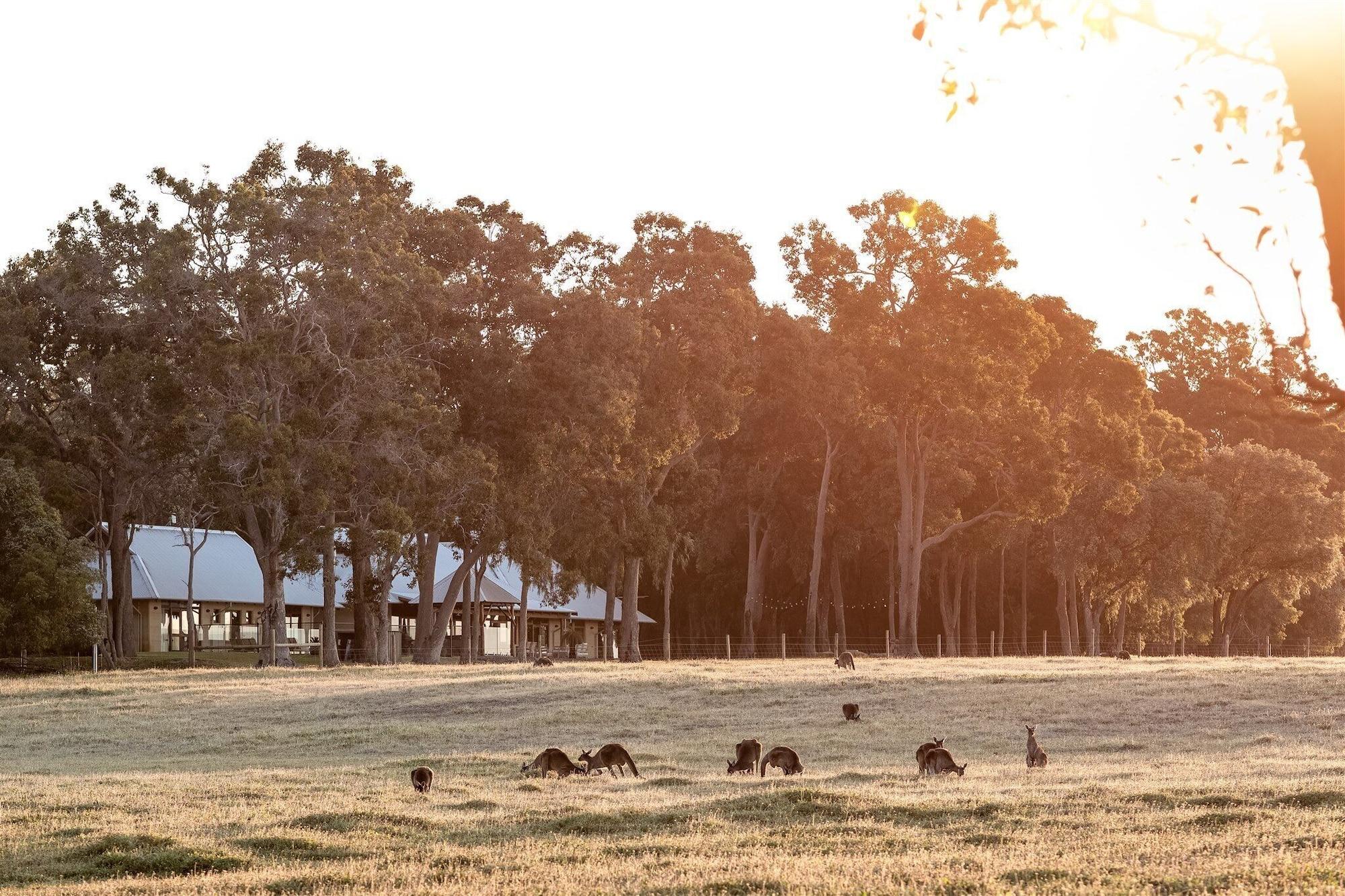 Room 4, Forest Rise, Busselton