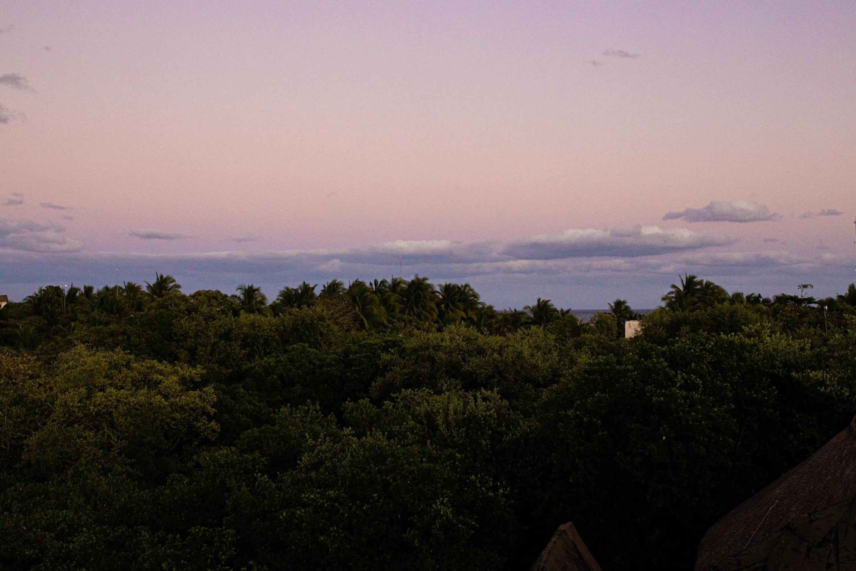 Mamasan Treehouses & Cabins