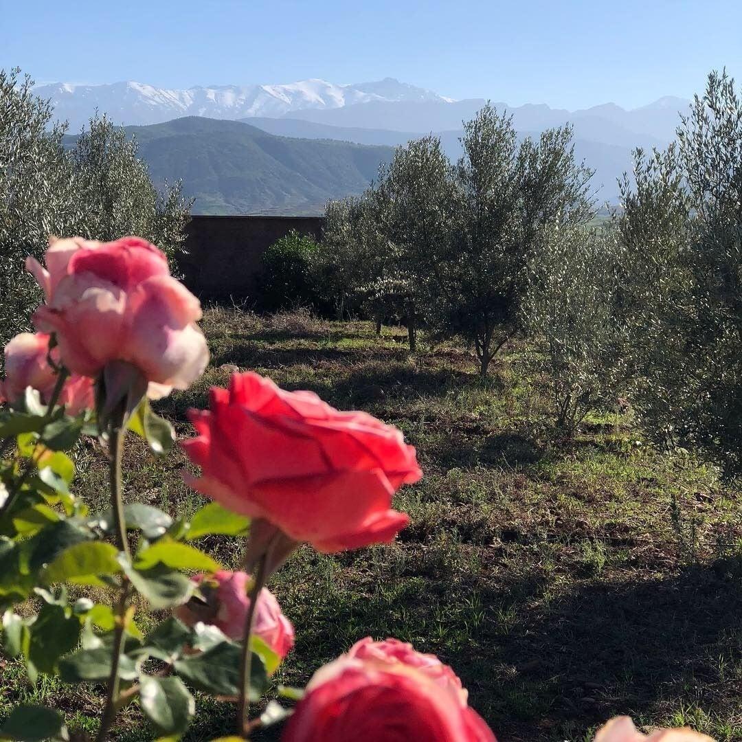 Les Jardins De Taja