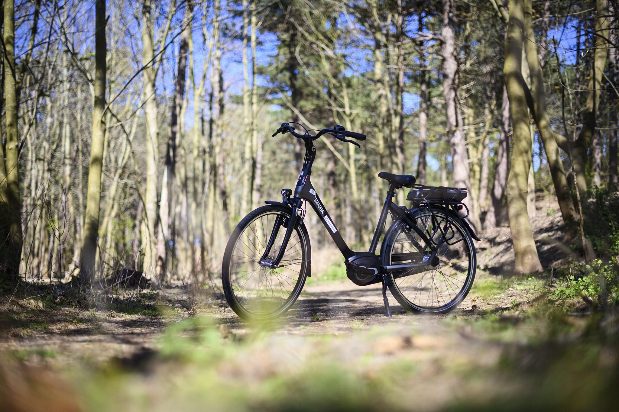 Hotel Ter Zand - Handwritten Collection by null