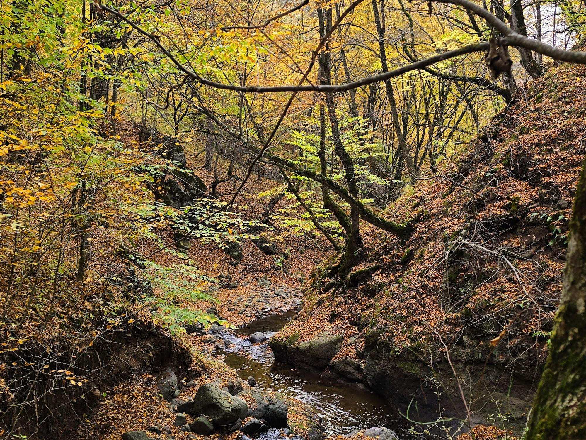Ecokayan Dilijan Resort Hotel