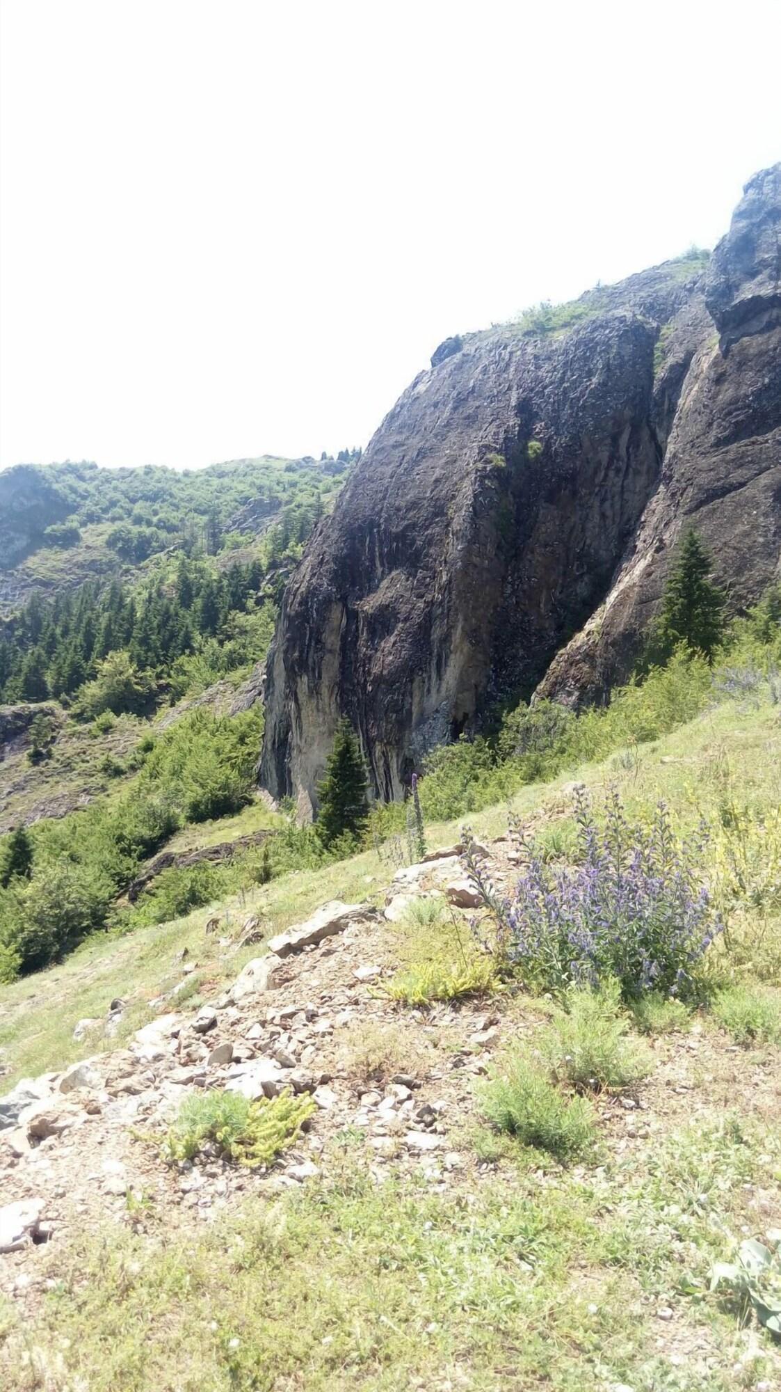 General view