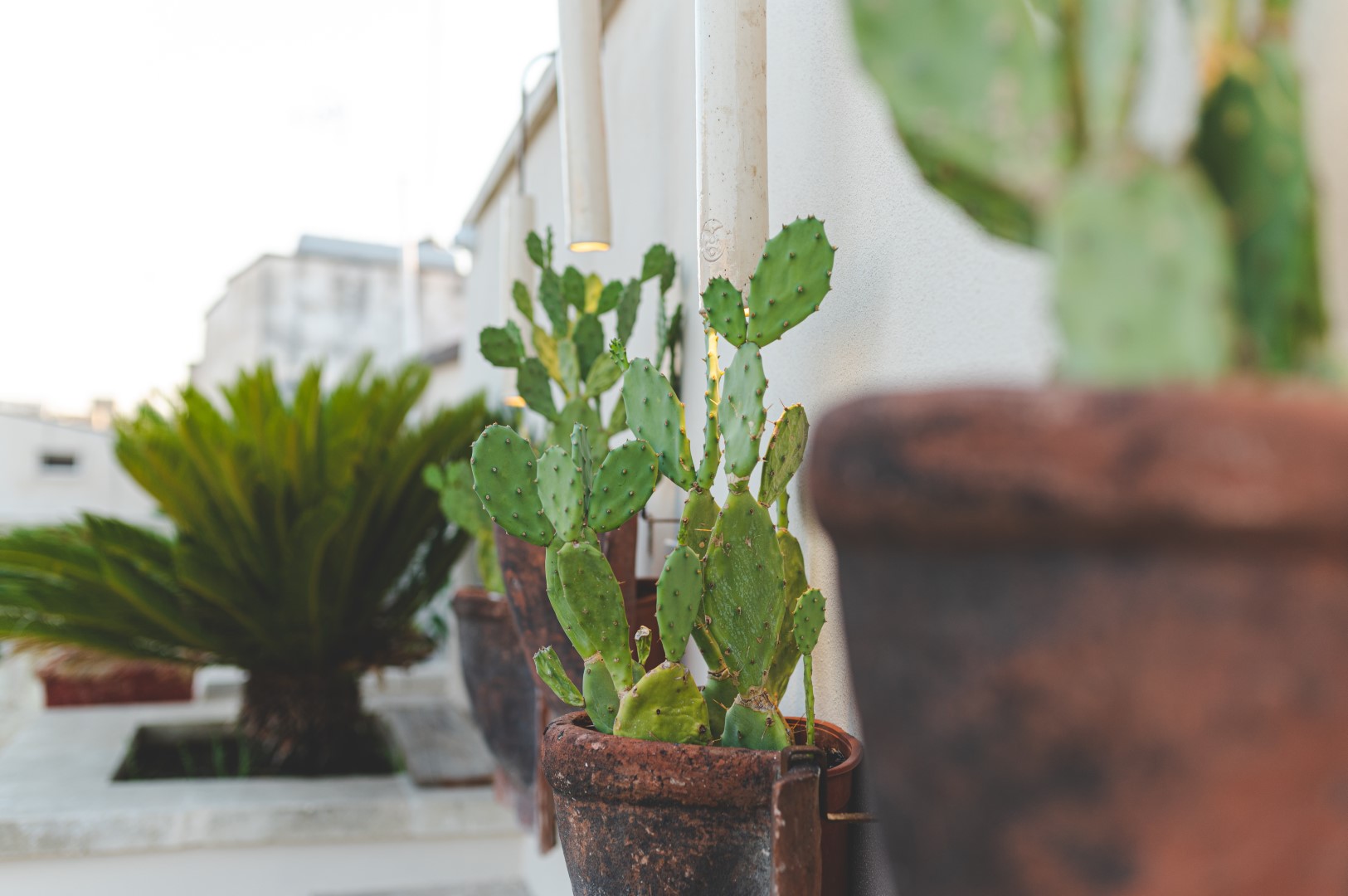 Pollicastro Boutique Hotel by null