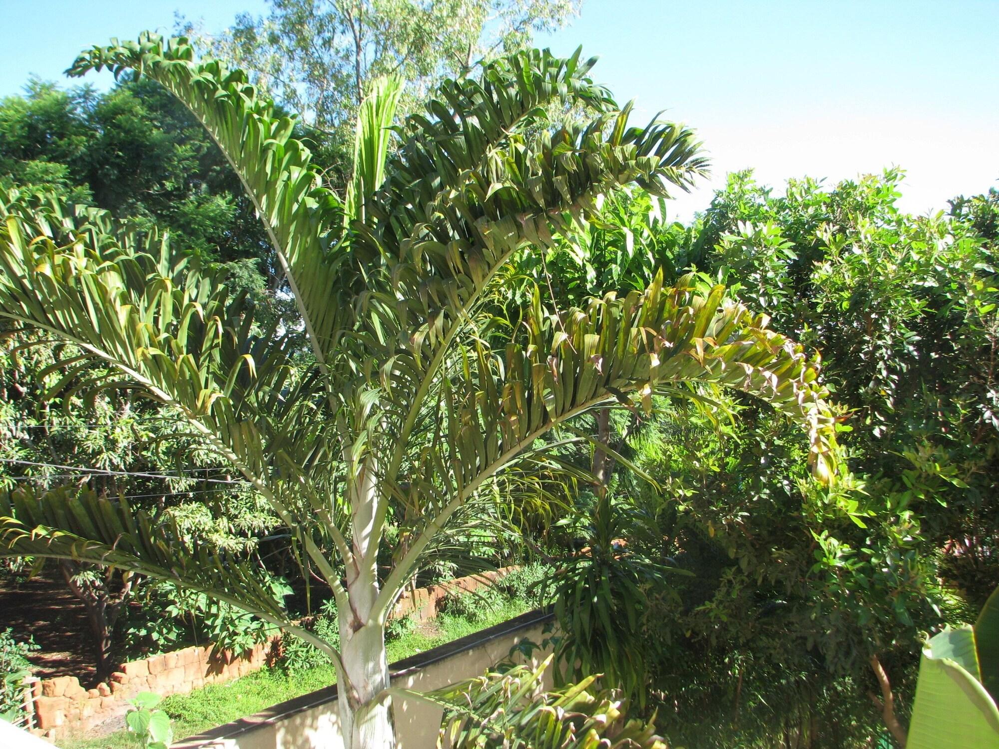 Avamada Lodge by null