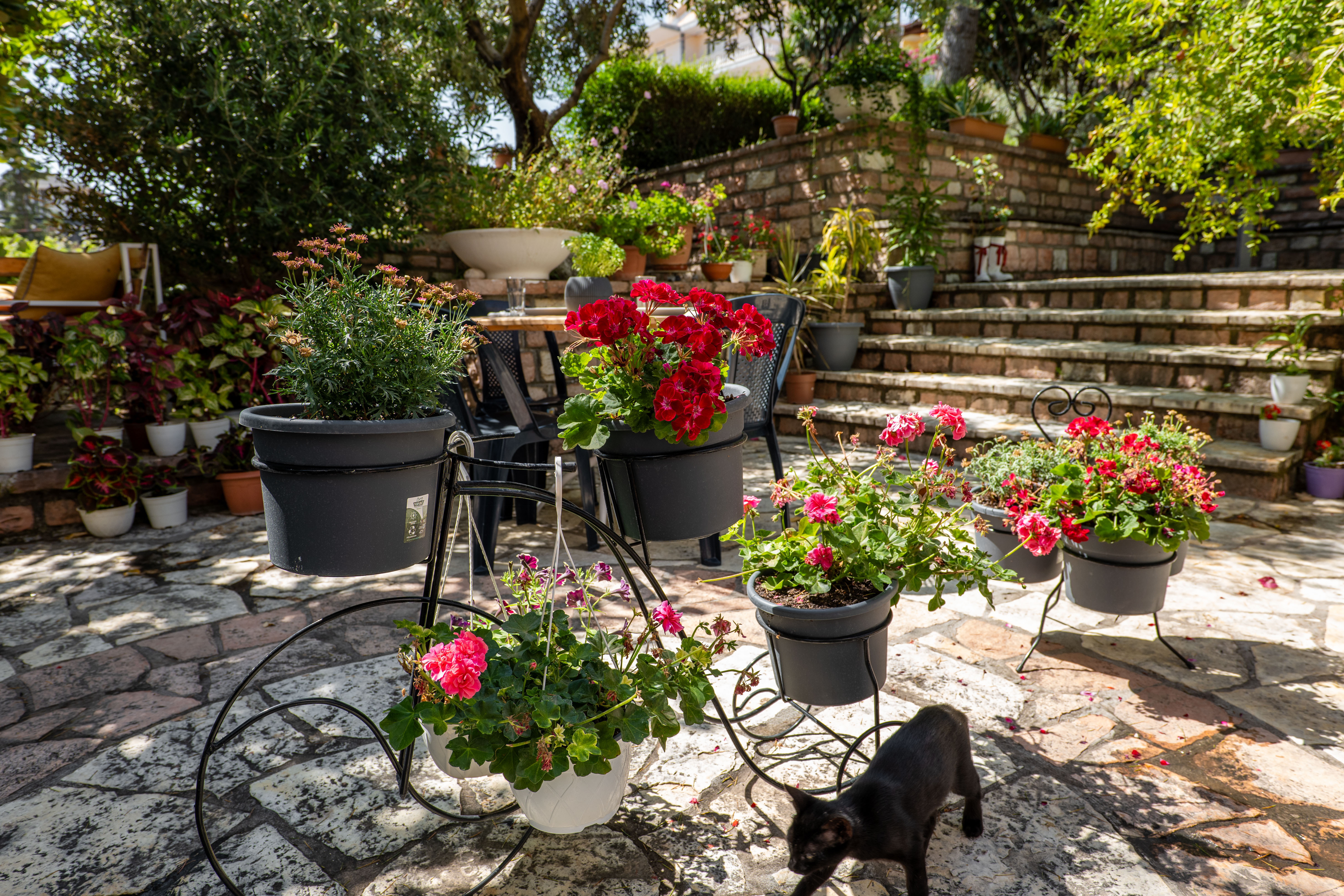 Villa Green Garden