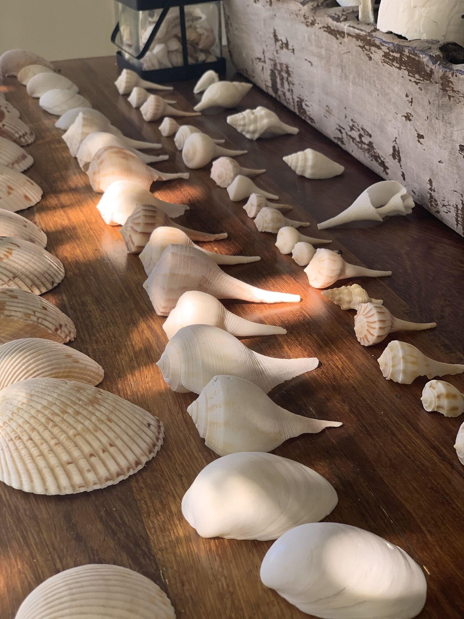 Boutique Hotel El Nido Holbox by null