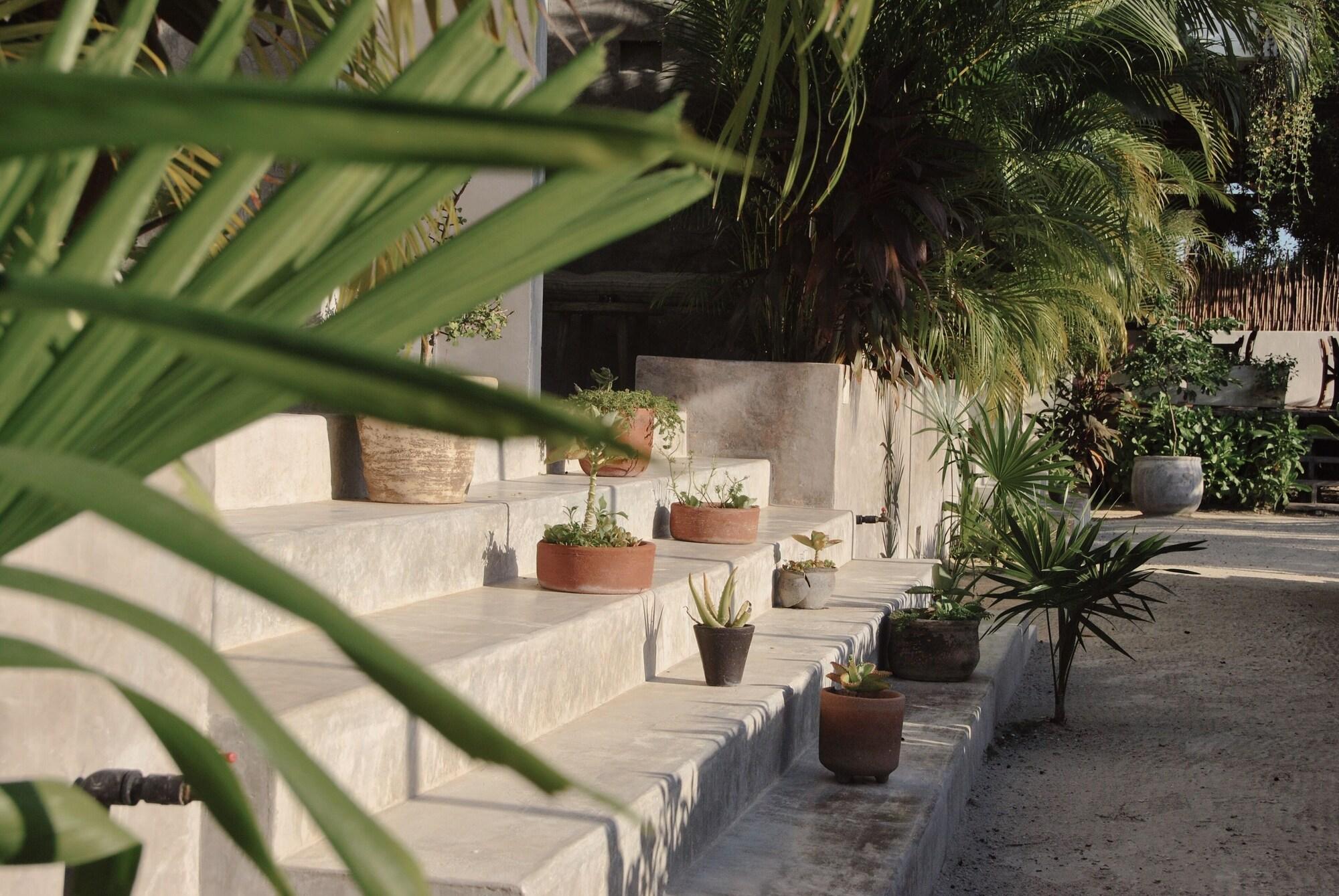 Boutique Hotel El Nido Holbox by null