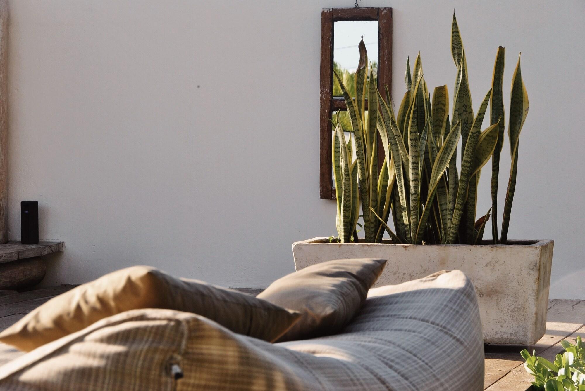 Boutique Hotel El Nido Holbox by null