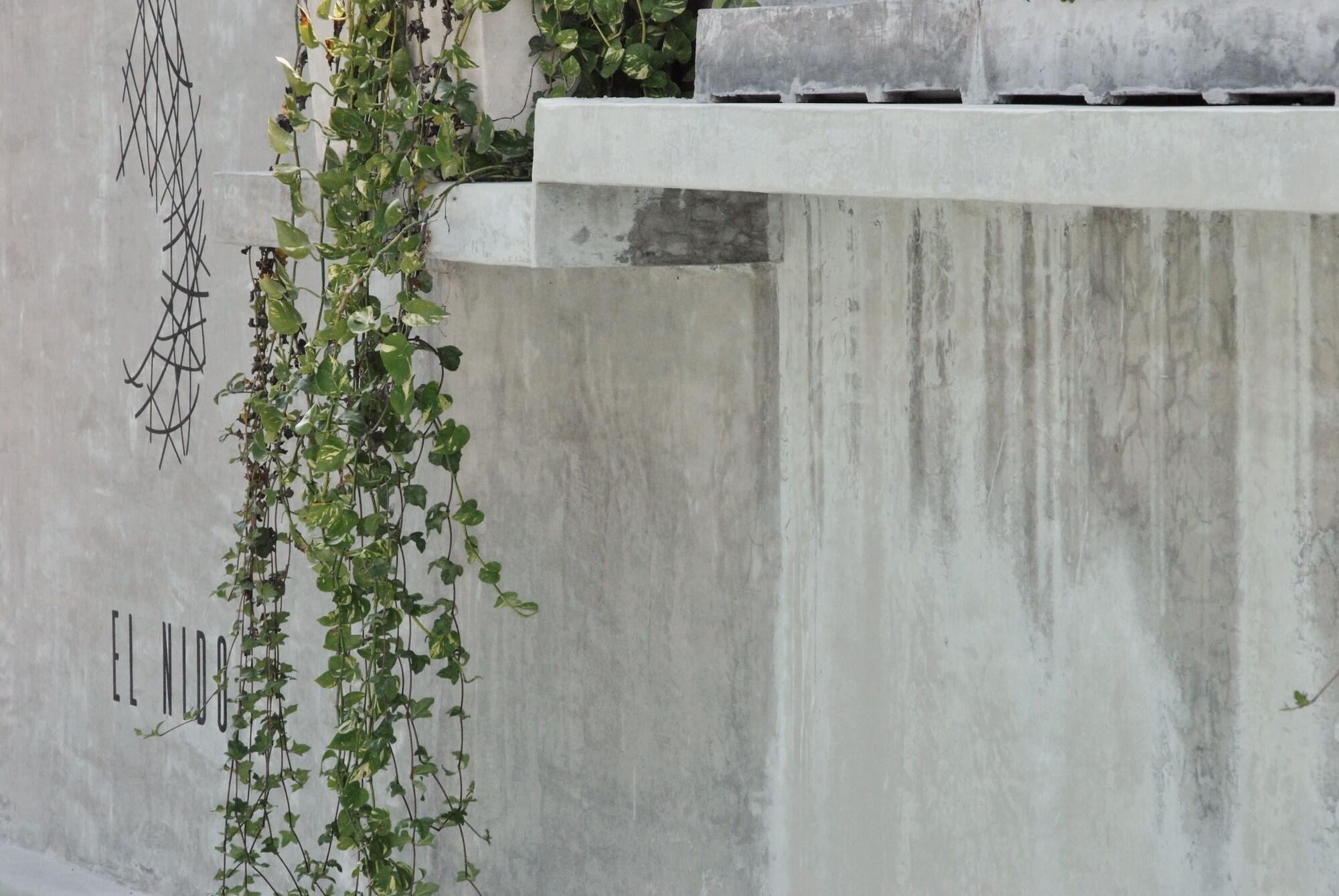 Boutique Hotel El Nido Holbox by null