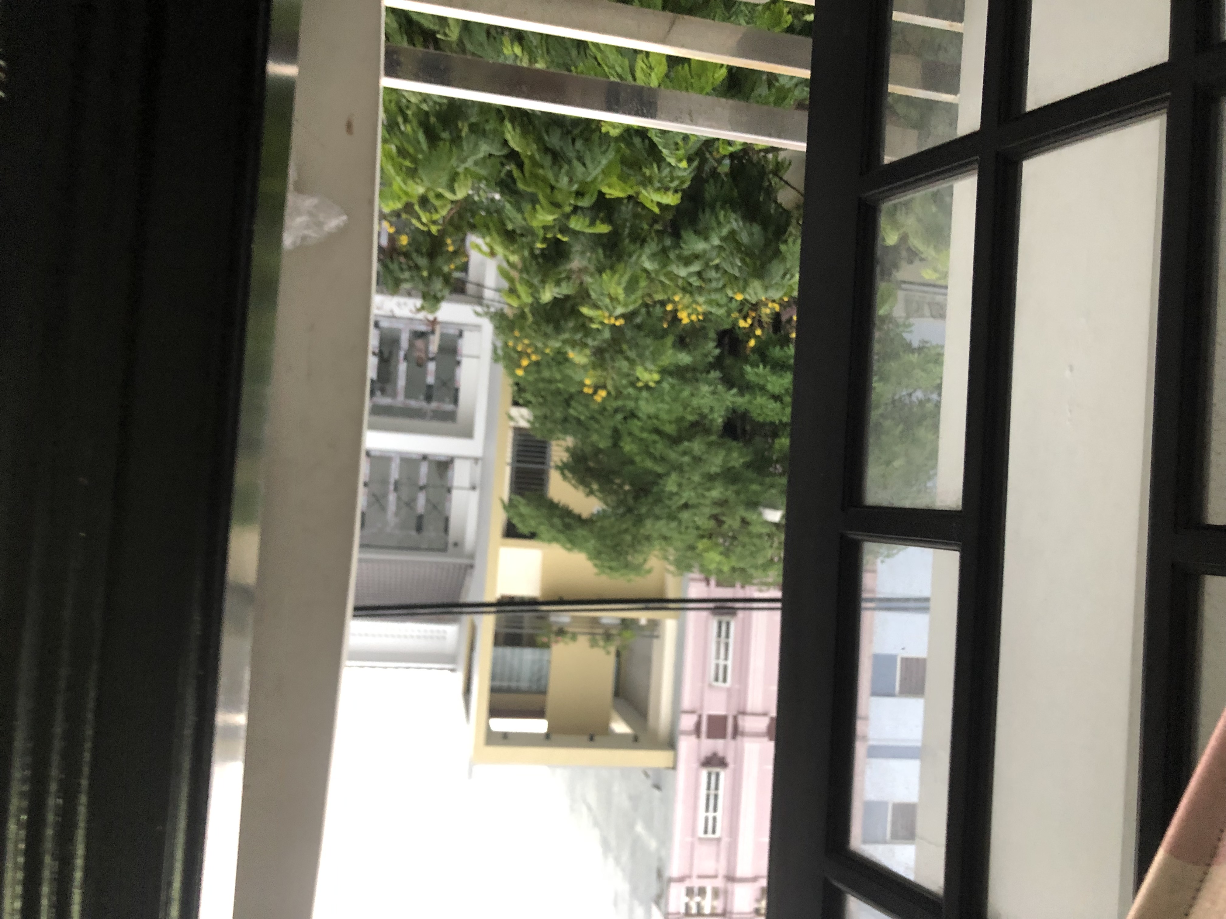 OYO 1171 Tay Hai Hotel