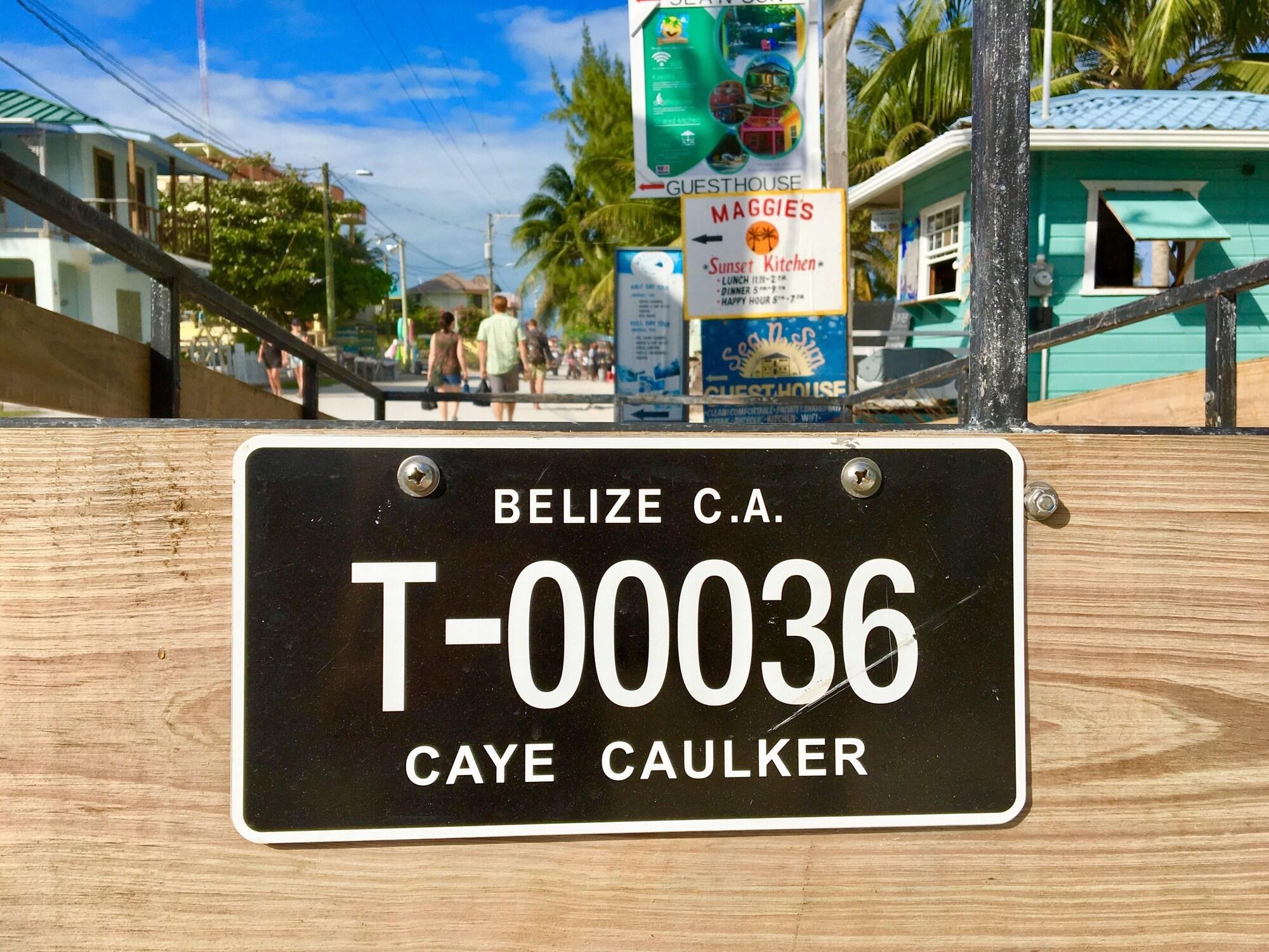 Treetops Hotel by null