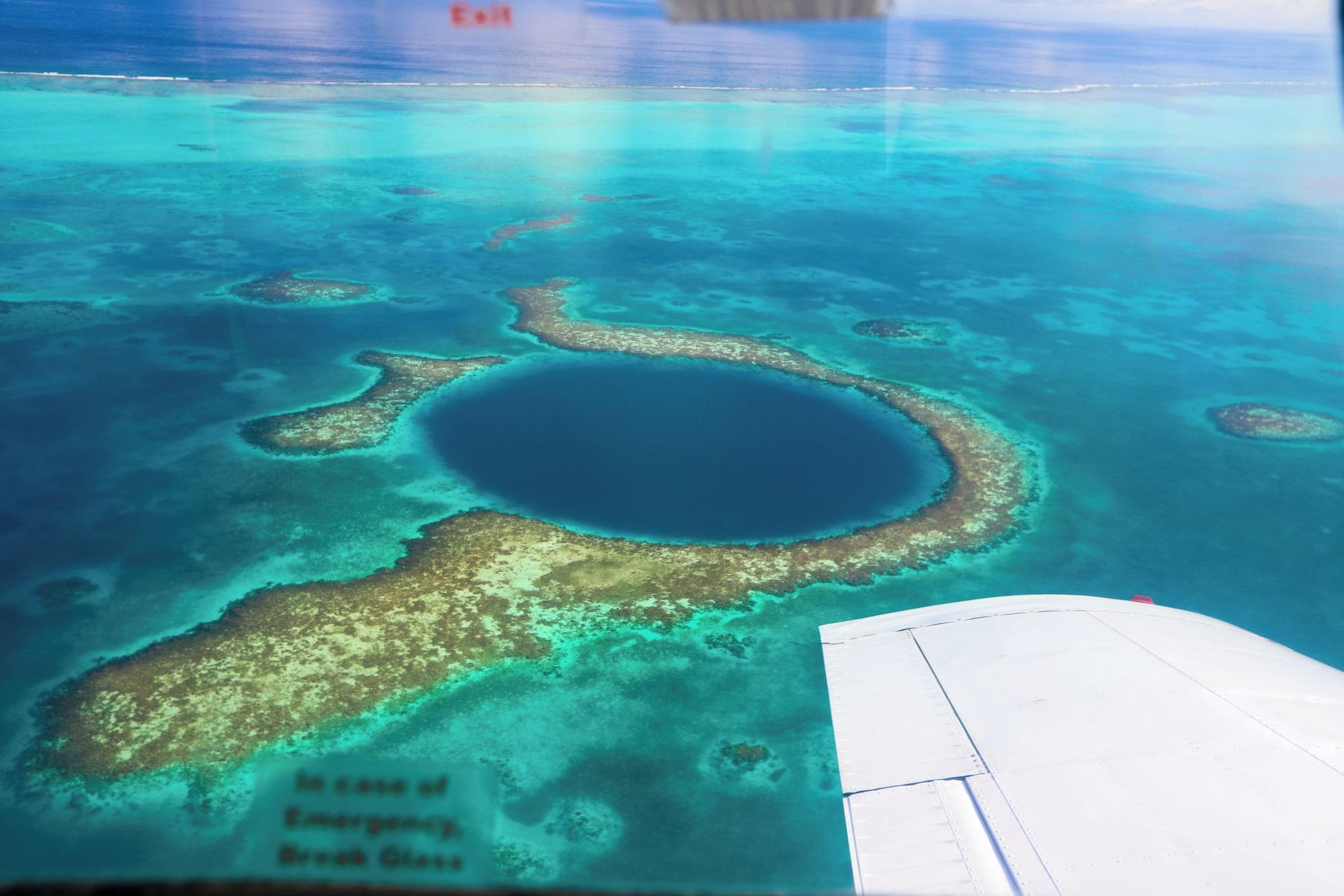 Treetops Hotel by null