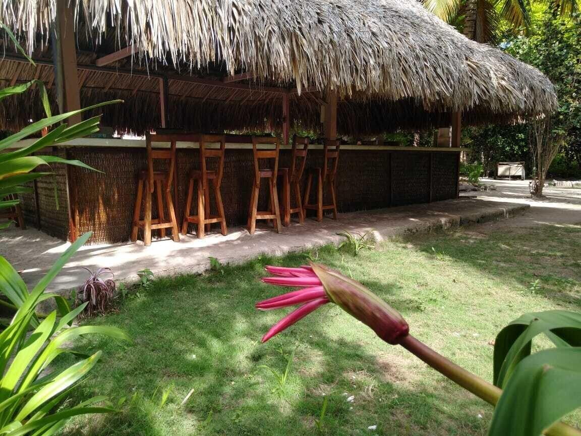 Las Palmeras