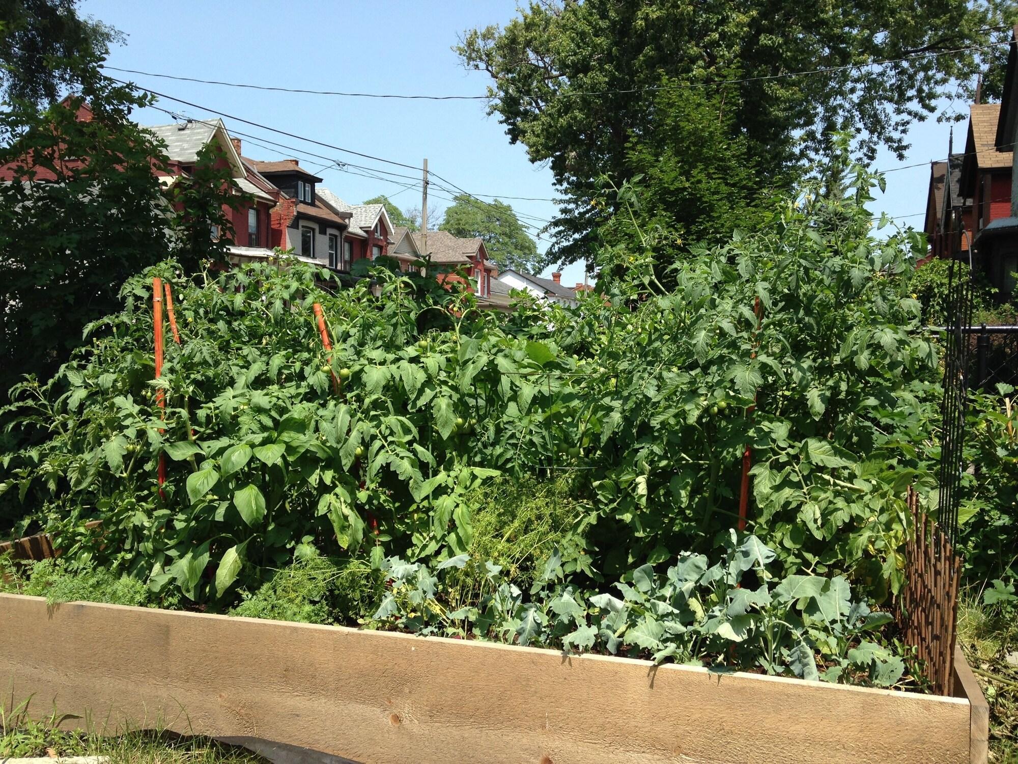 Pring Guesthouse by null