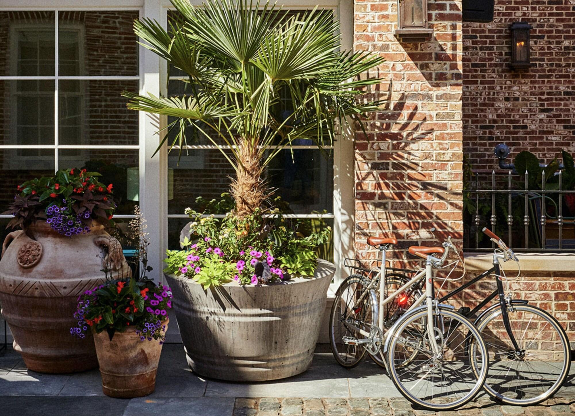 The Pinch Charleston by null