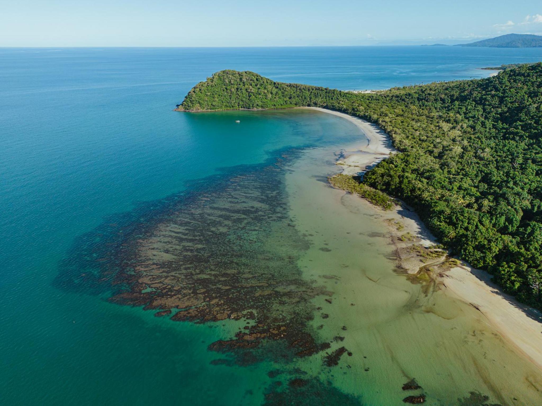Mist At Cape Tribulation