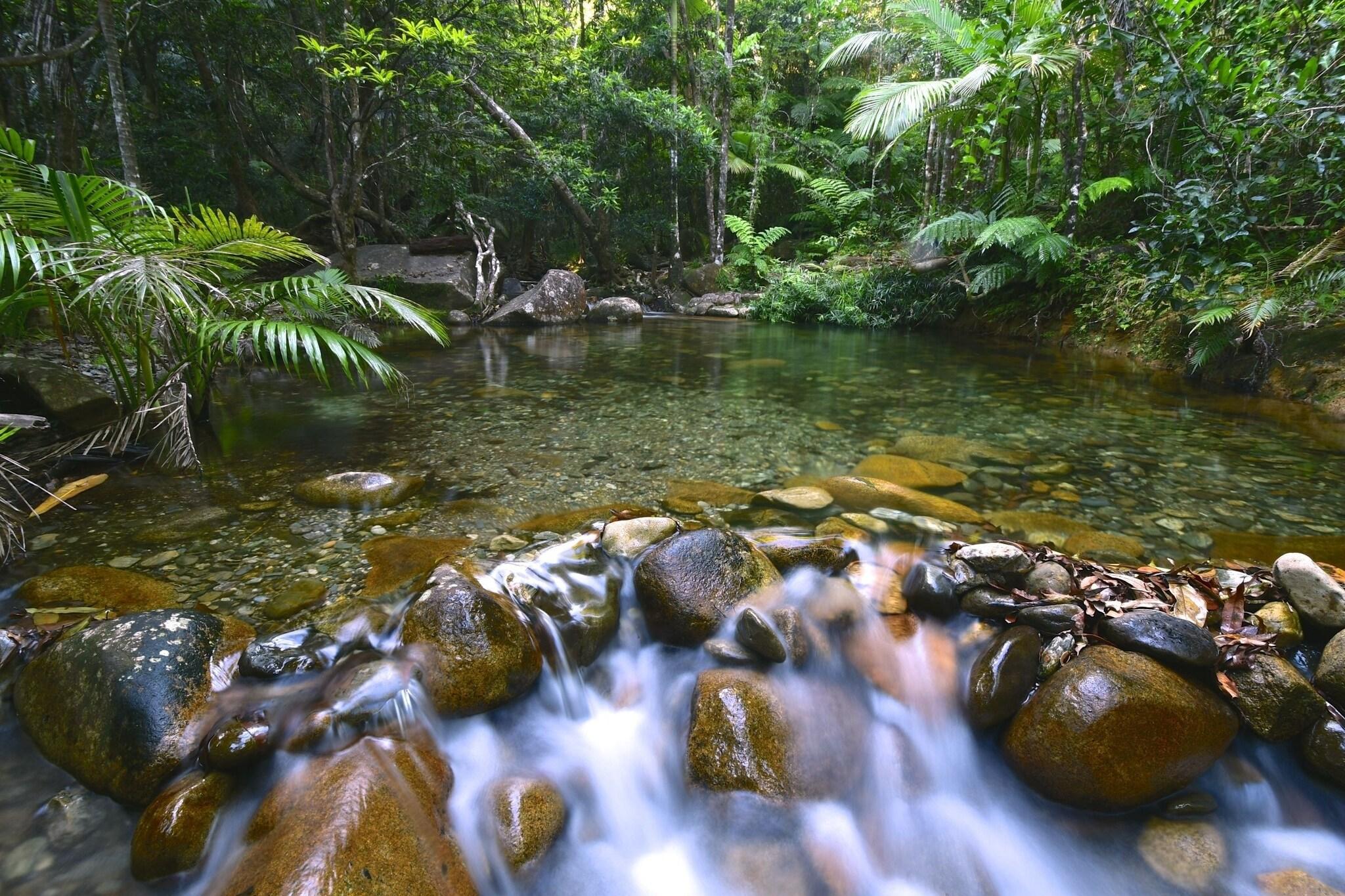 Daintree Cascades Cottages