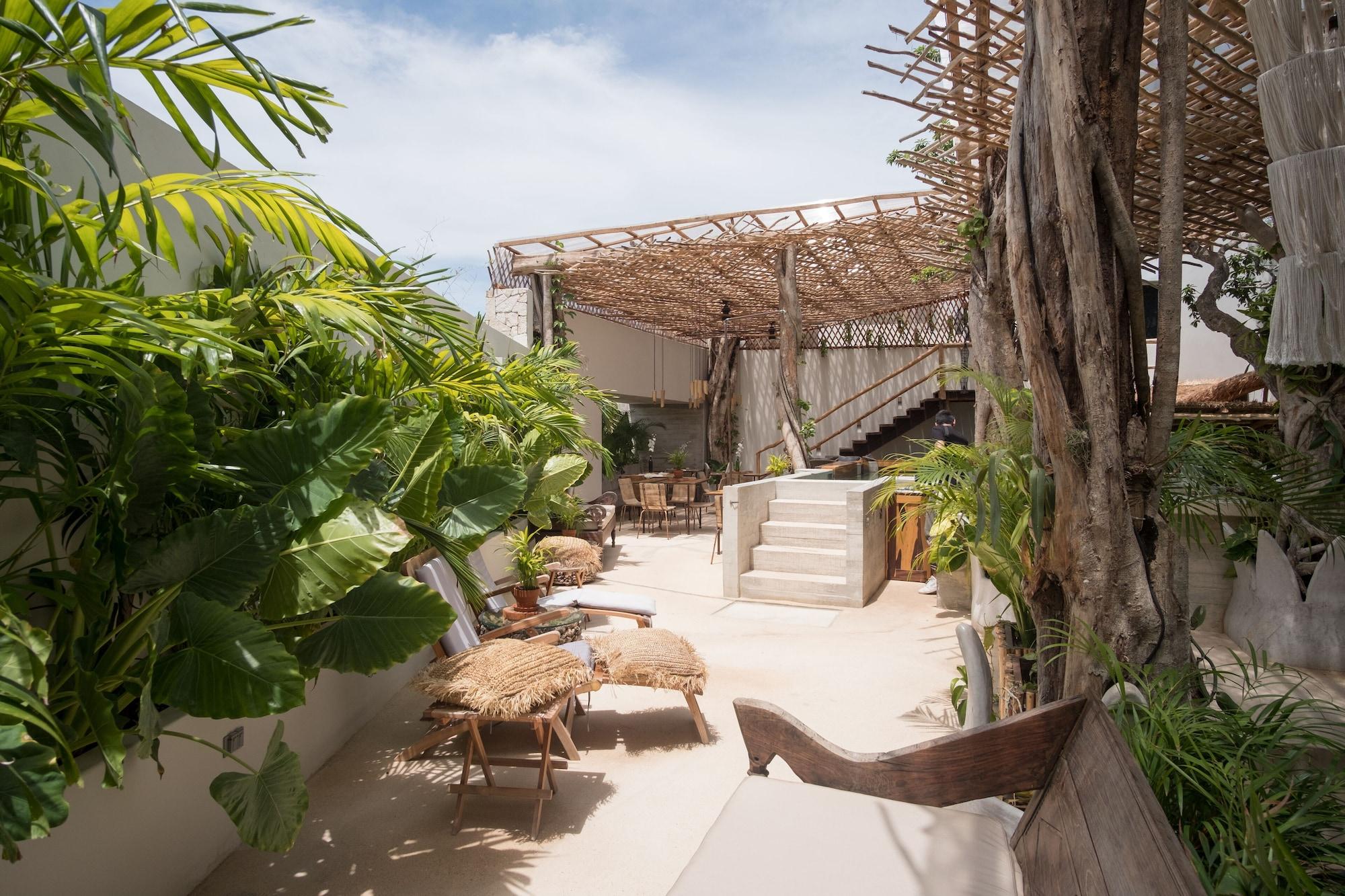 Orchid House Tulum by null