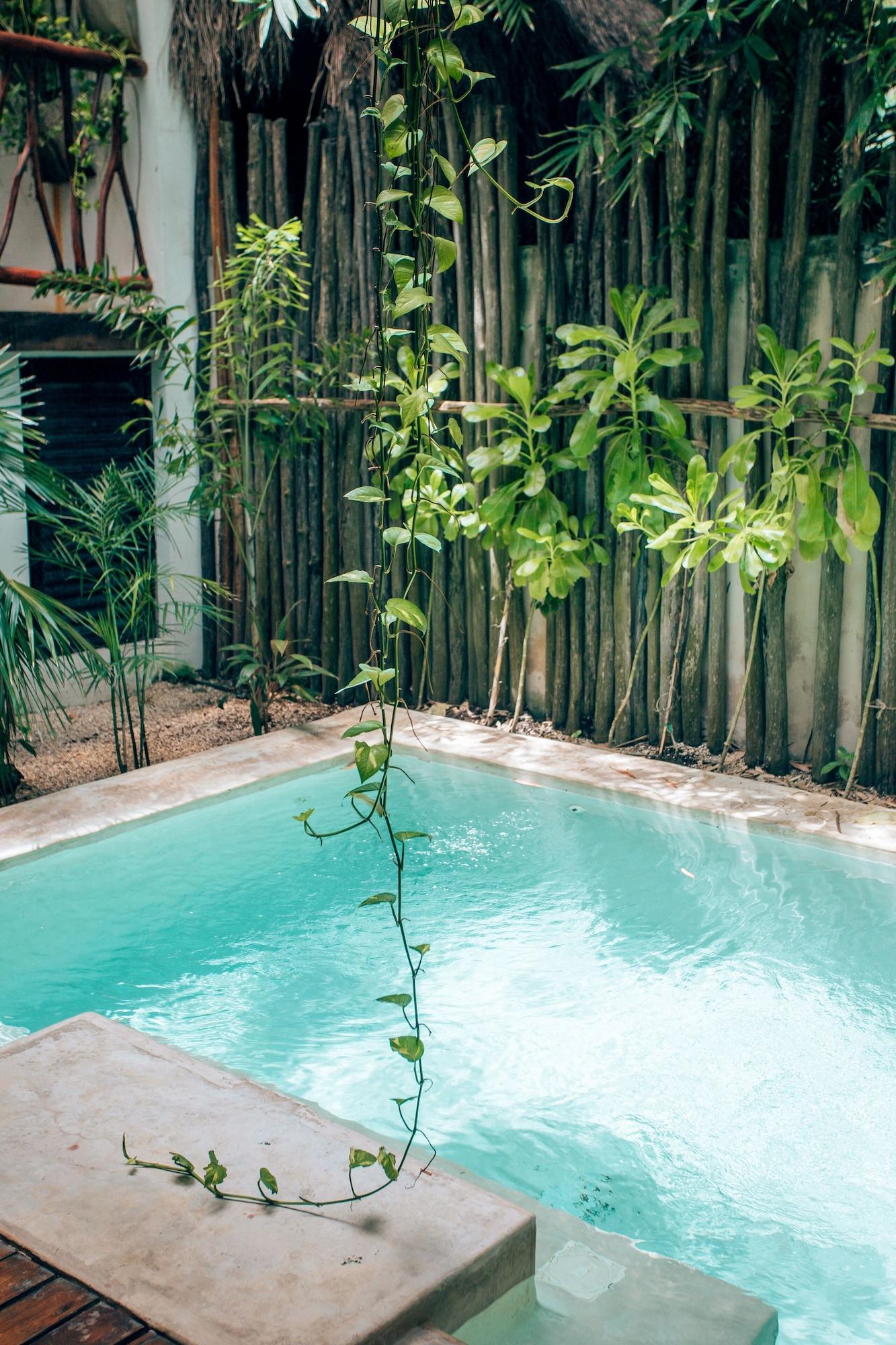 Orchid House Tulum by null