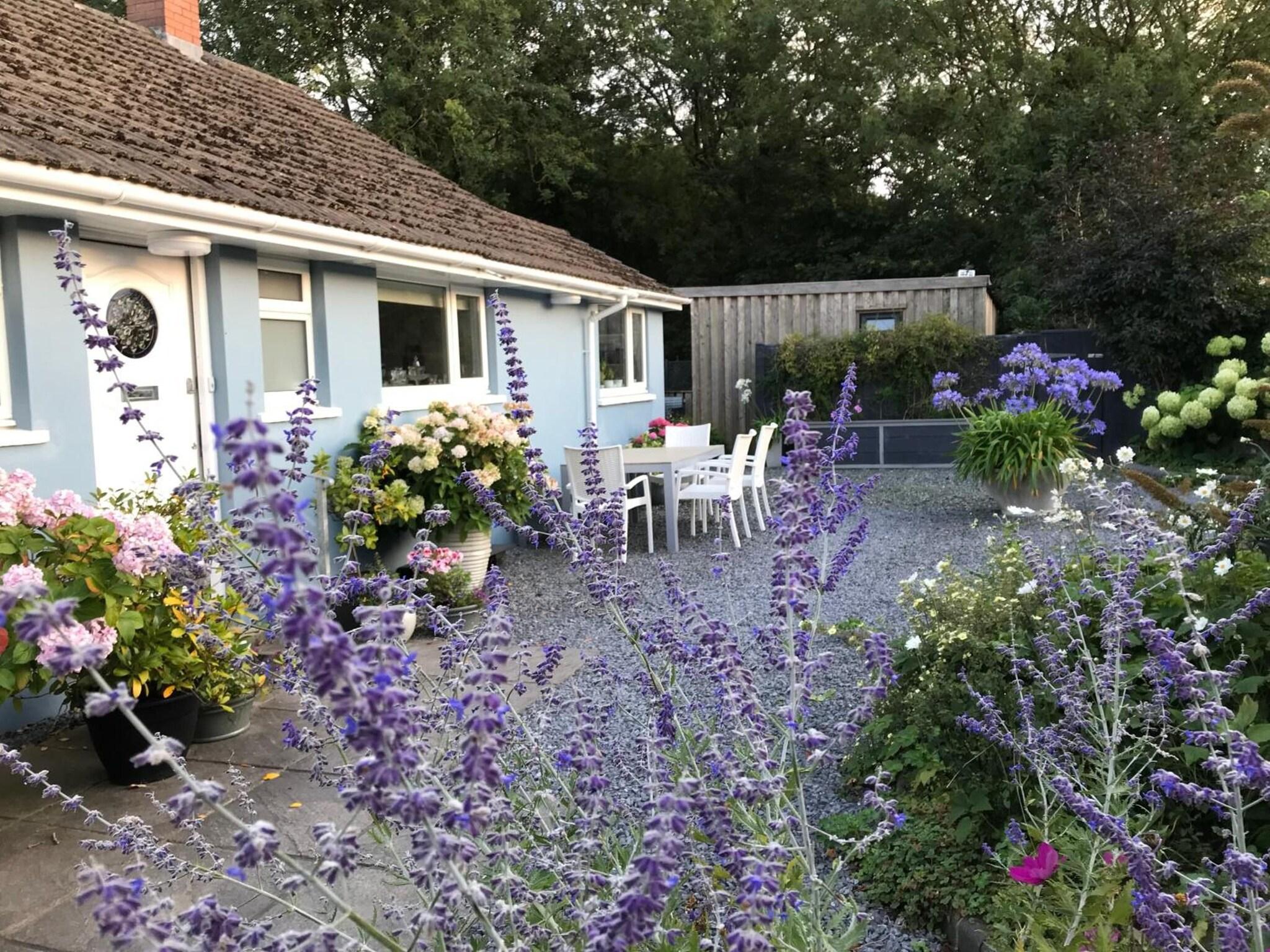 Gower View Luxury Bed Breakfast