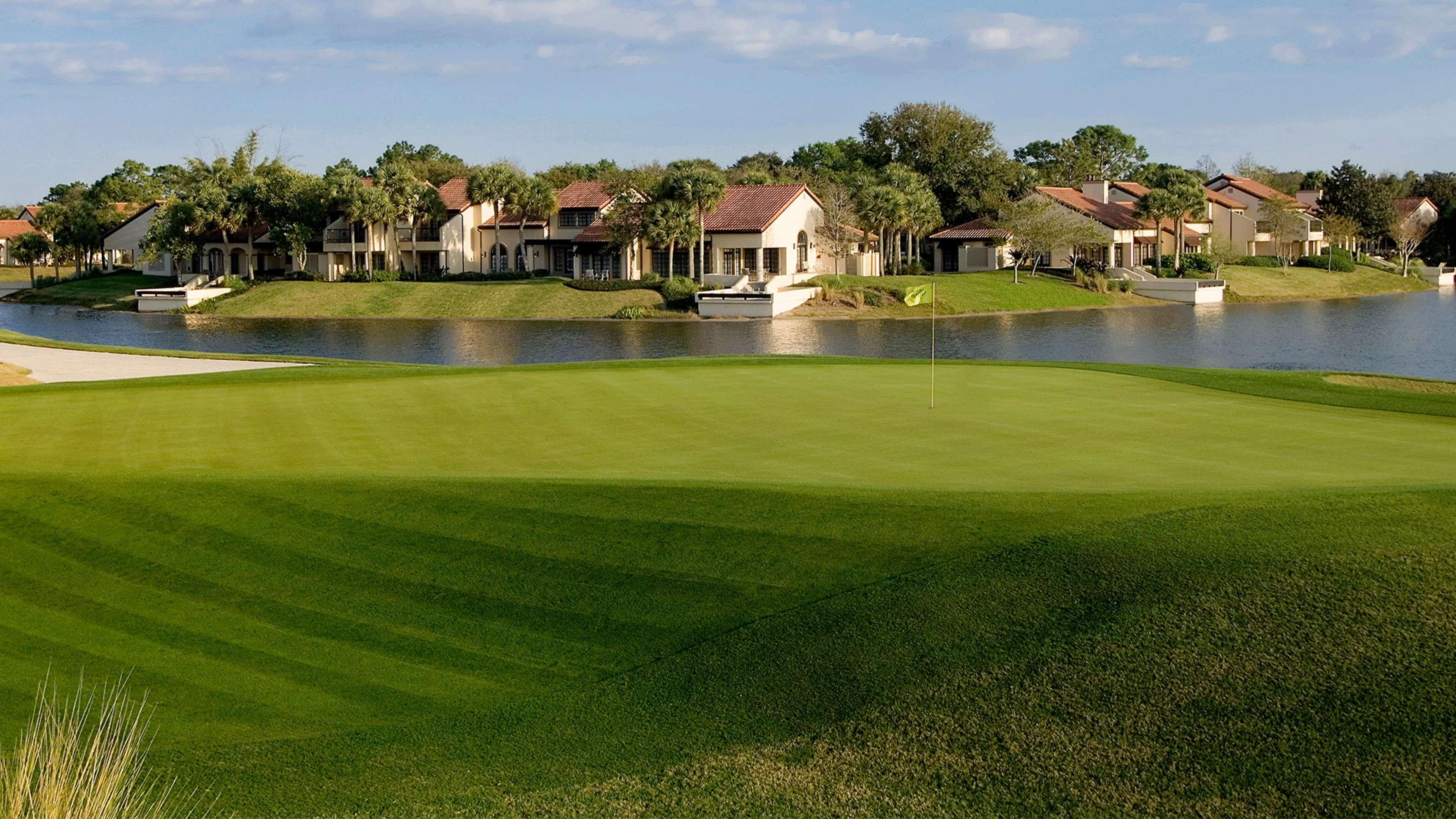 Conrad Orlando at Evermore by null