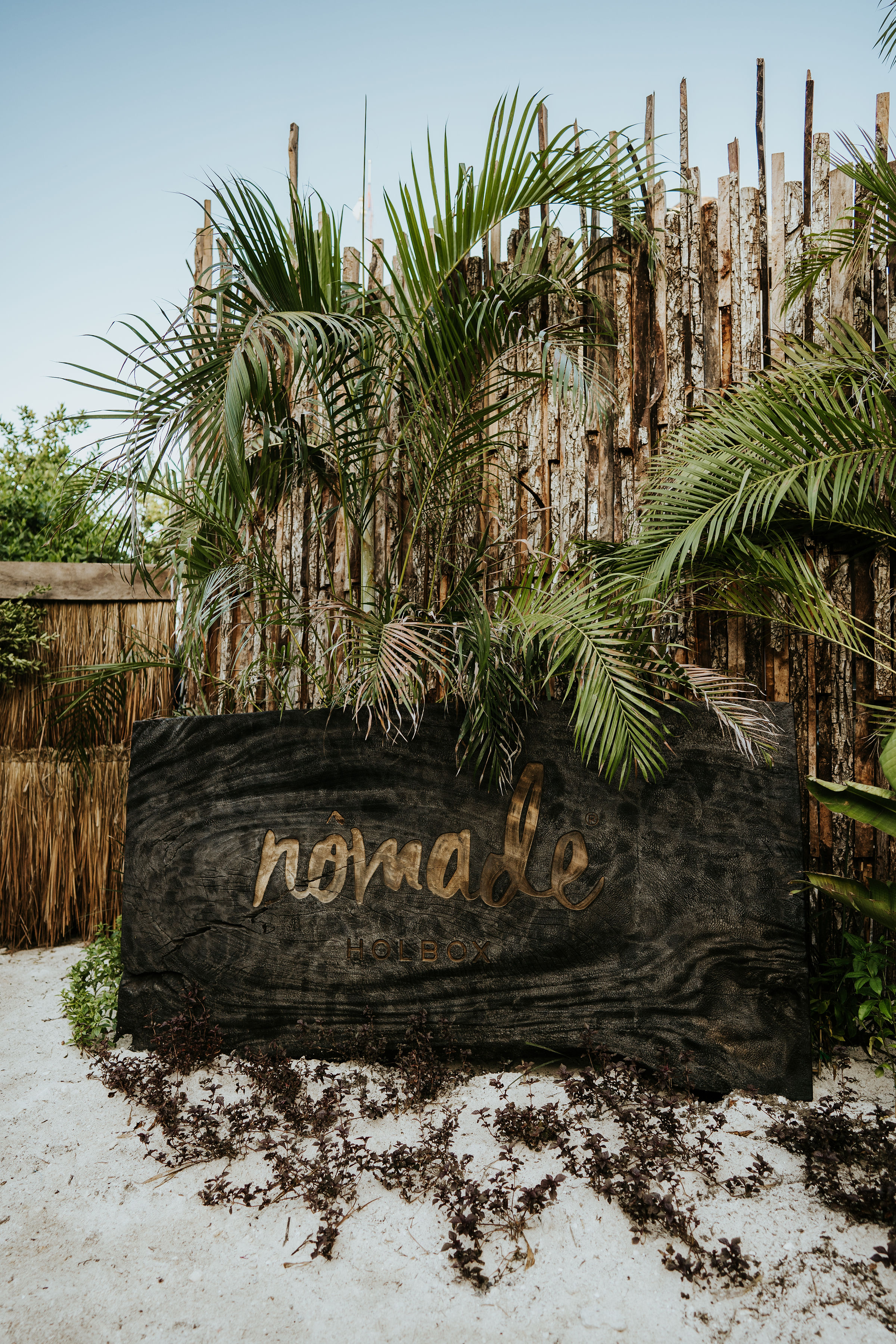 Nomade Holbox by null