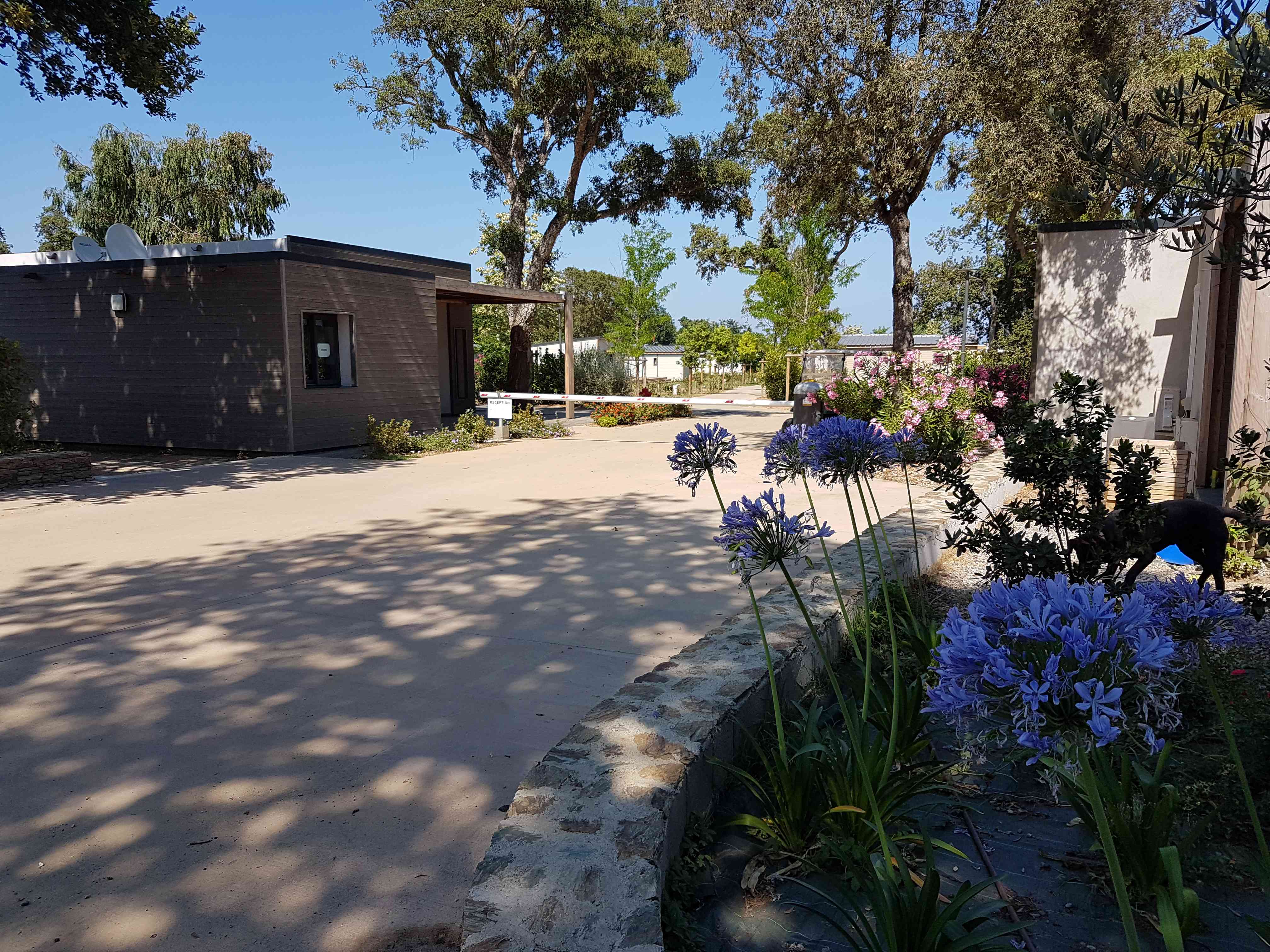 Public Area, Casa E Natura, Haute-Corse