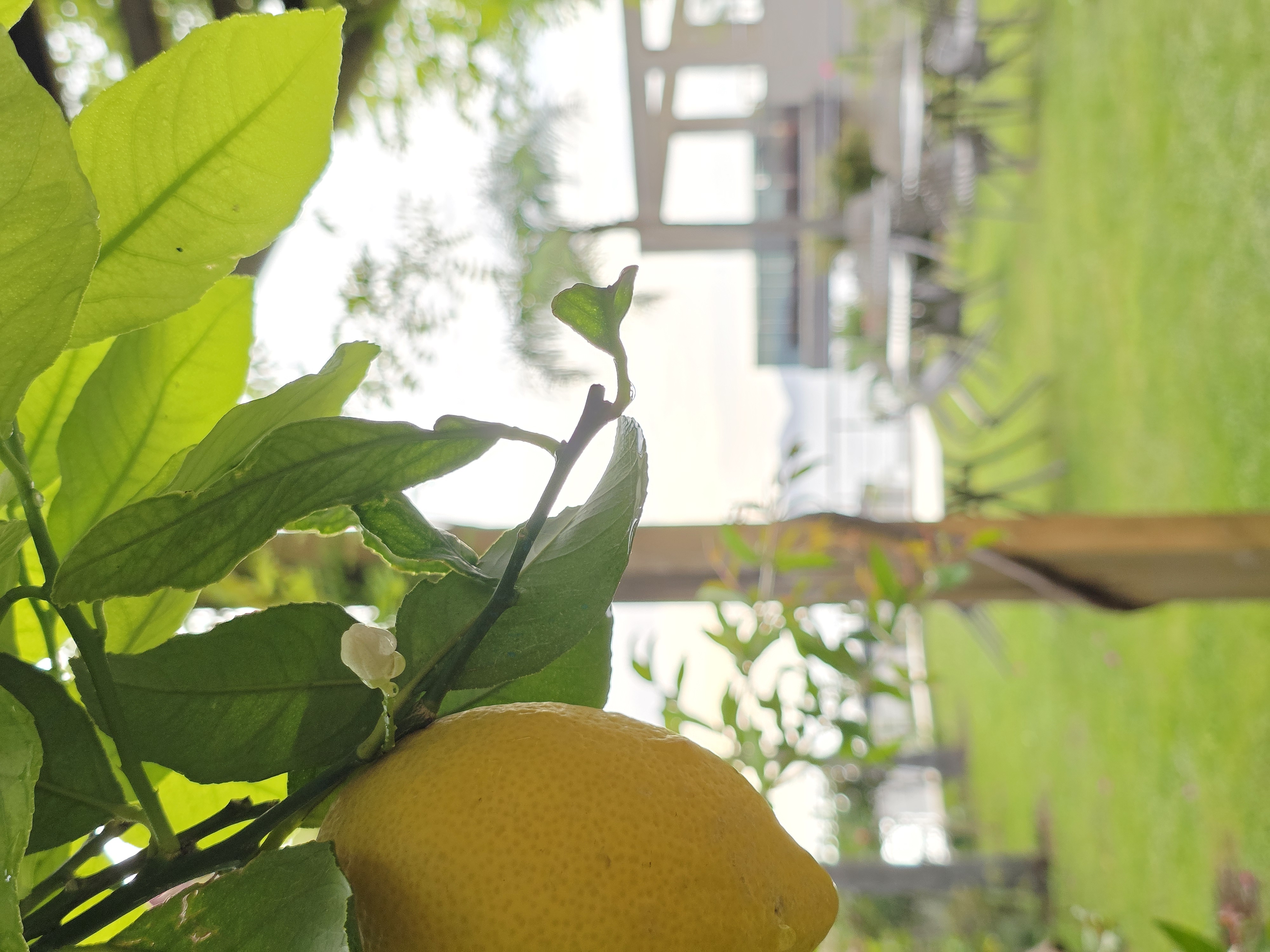 Valza Boutique Hotel - photo