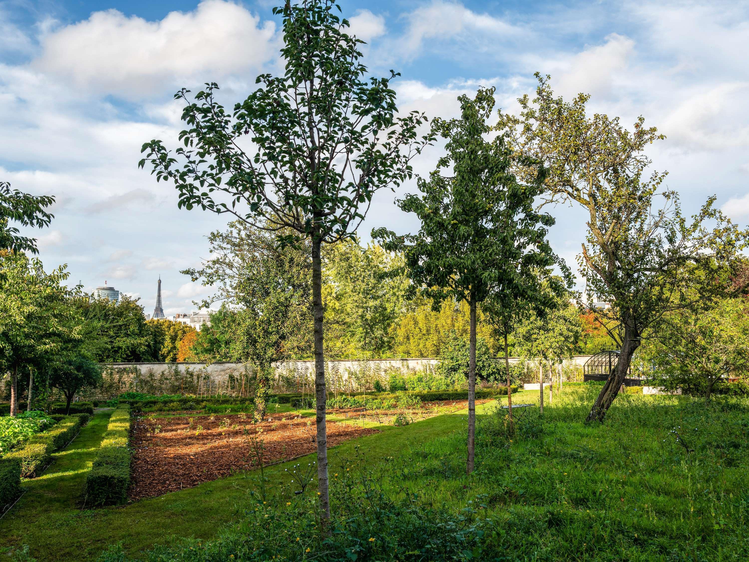 Галерея изображений Domaine Reine Margot Paris - Issy - Mgallery