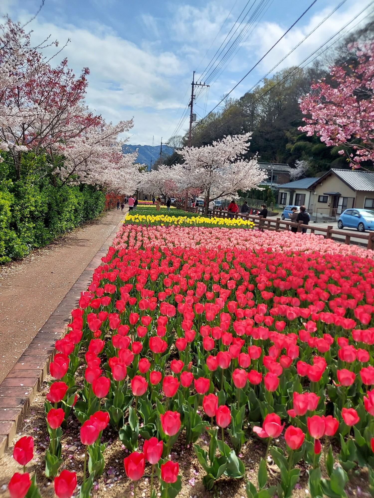 Paysage Moriguchi
