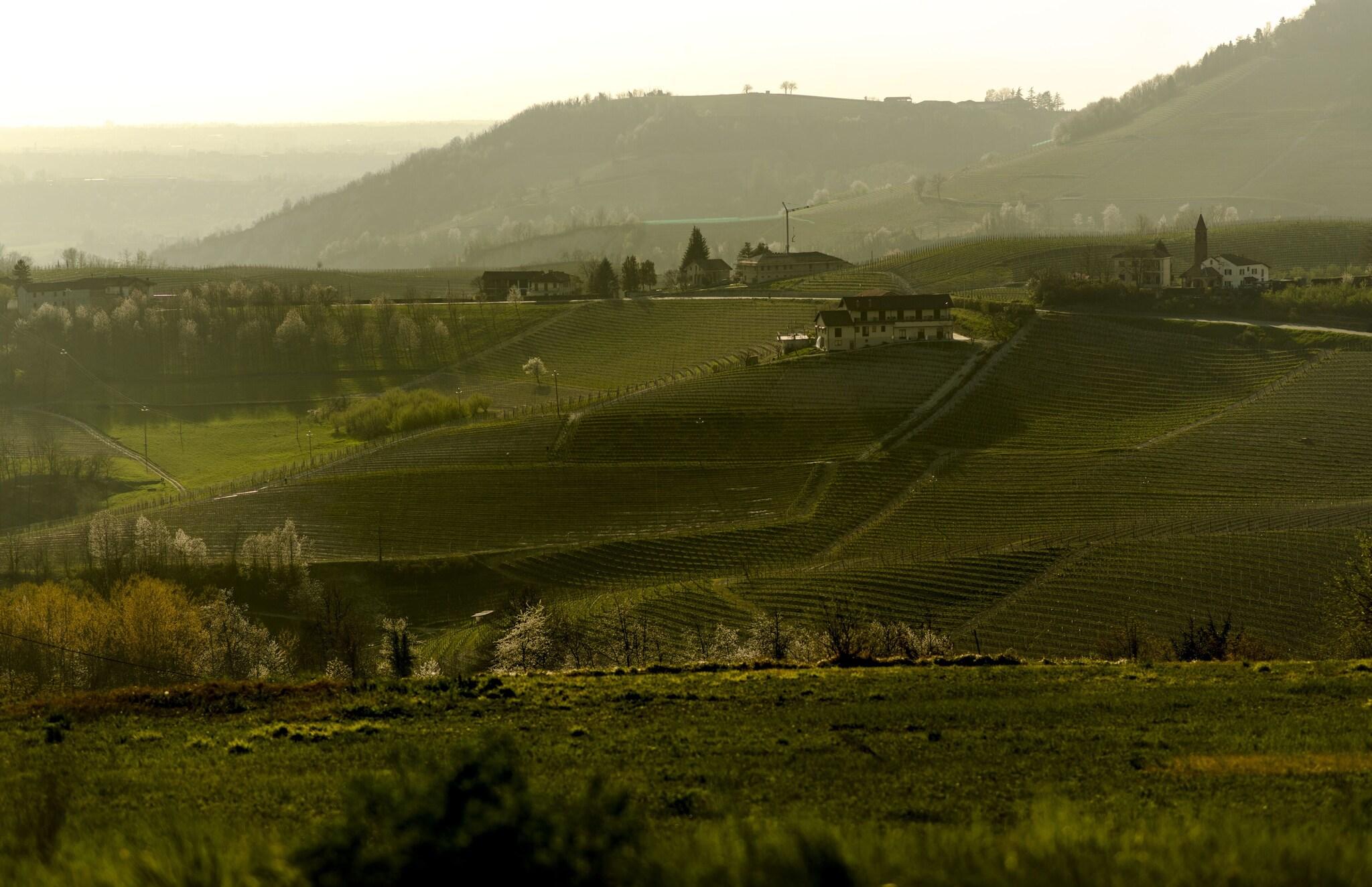 Casa di Langa by null Casa di Langa by null