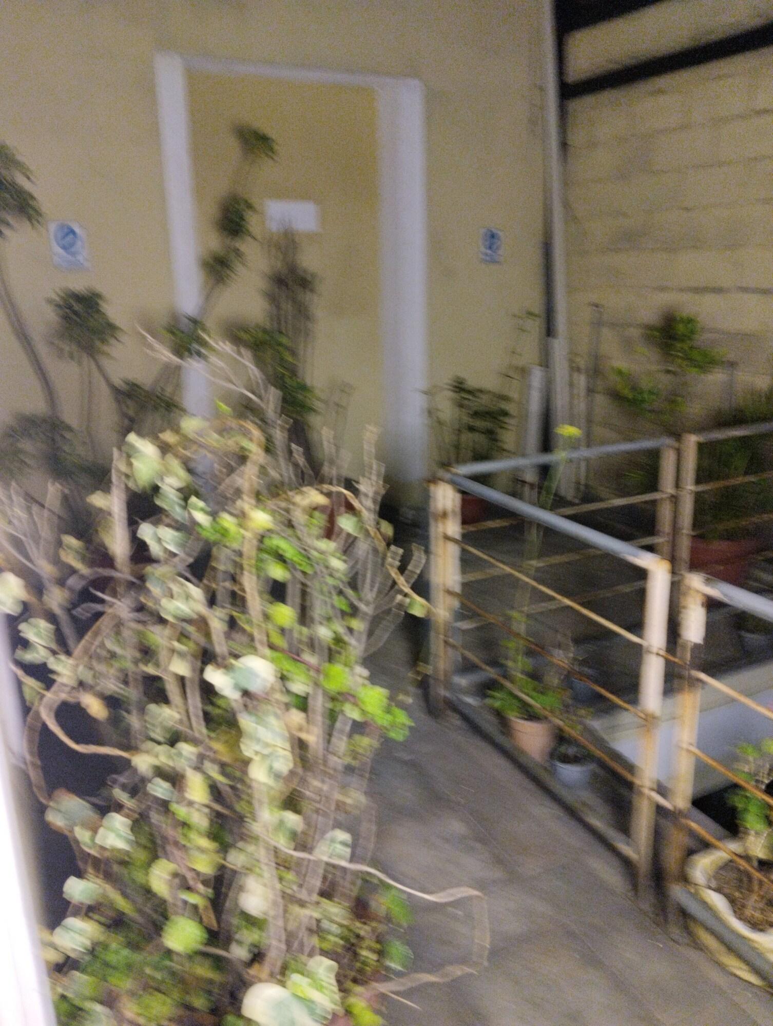 Departamento 7