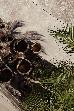 Thumbnail 159