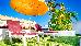Thumbnail 57