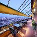 Thumbnail 171