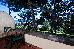 Thumbnail 57