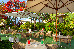 Thumbnail 86