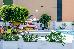 Thumbnail 44