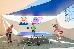 Thumbnail 119