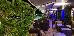 Thumbnail 39